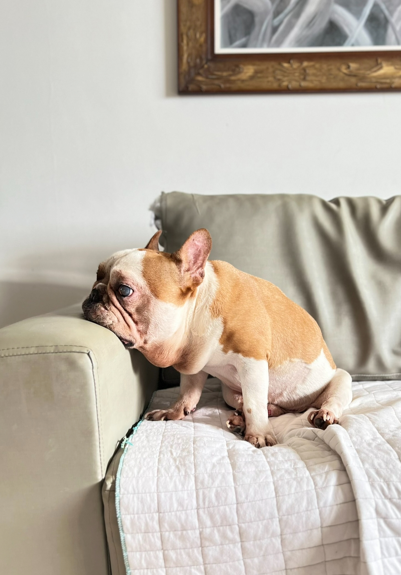 O amor que eu escondo no pão
