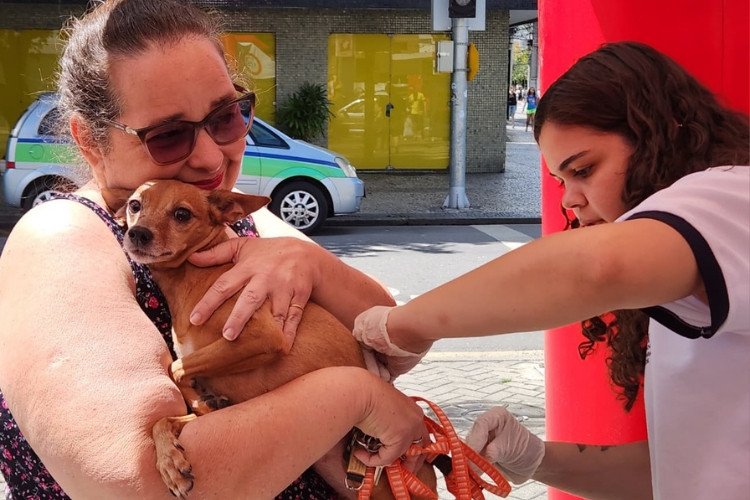 Vacina antirrábica para cães e gatos disponível no CCZ
