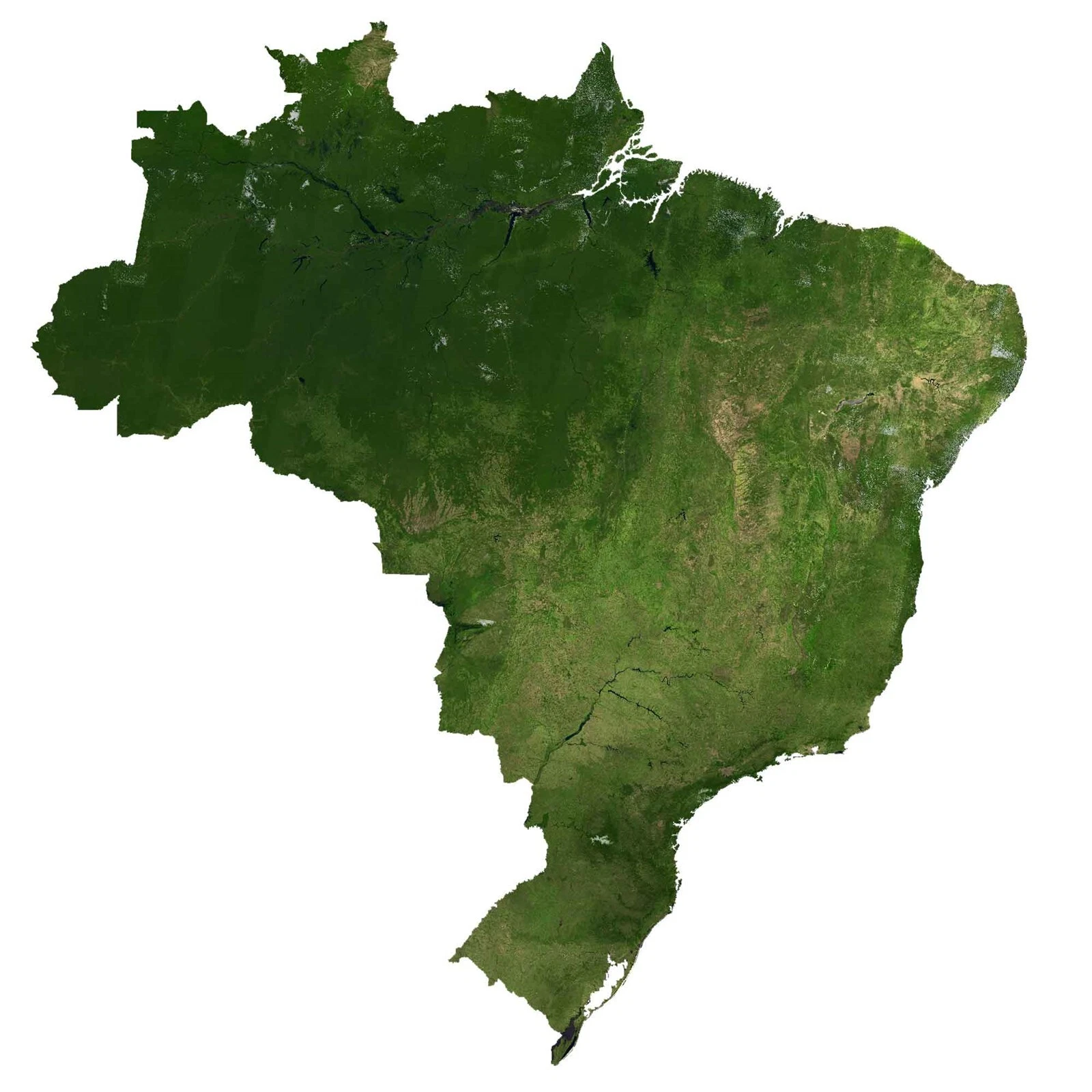 Por que nossos candidatos campistas a Deputado Federal fogem do Brasil real?